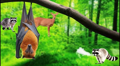 Illustration reservoir - Image 1