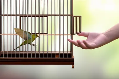 Illustration favor - Image 1