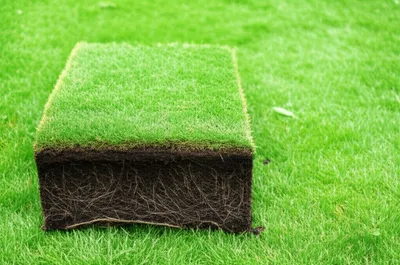 Illustration flags - Image 1