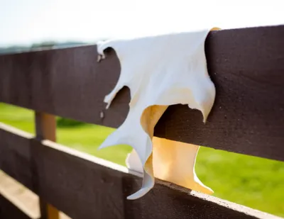 Illustration kips - Image 1