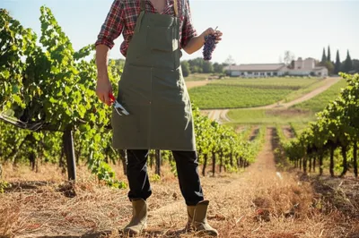 Illustration vintners - Image 1