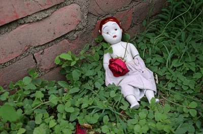 Illustration loss - Image 1