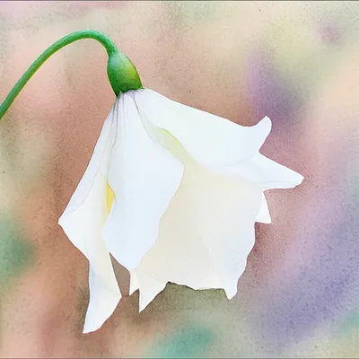 Illustration washy - Image 1