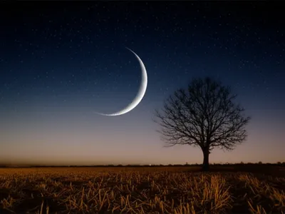 Illustration waning - Image 1