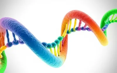 Hình ảnh minh họa inserts - Ảnh 1