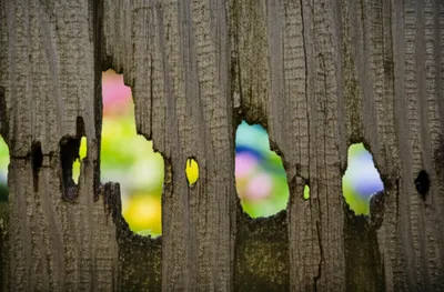 Illustration apertures