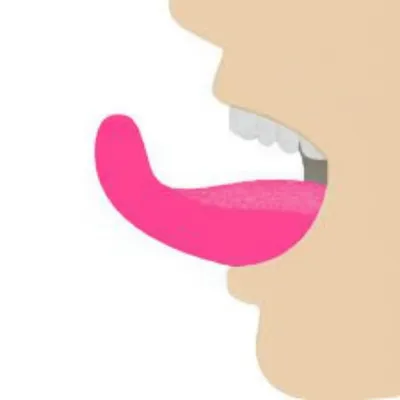 Illustration retroflex - Image 1