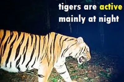 Illustration active - Image 4