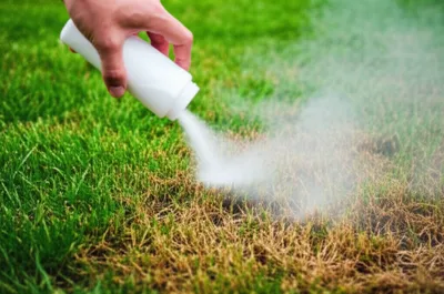 Illustration quicklime - Image 1