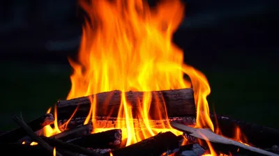 Illustration attended - Image 1