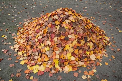 Illustration bank - Image 1