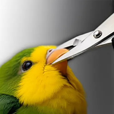 Illustration cope - Image 1