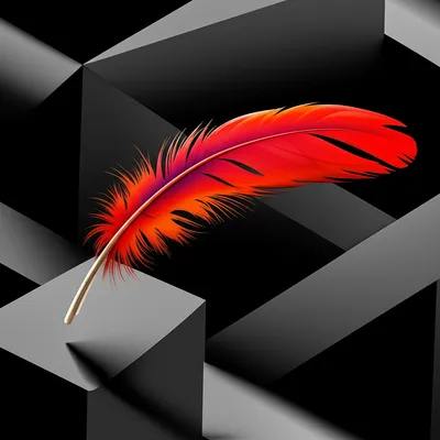 Illustration curious - Image 1