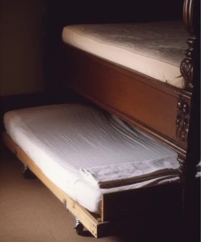 Illustration truckles - Image 1