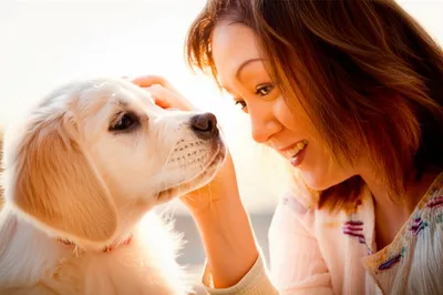 Illustration mooned - Image 1