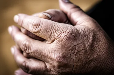 Illustration chaps - Image 1