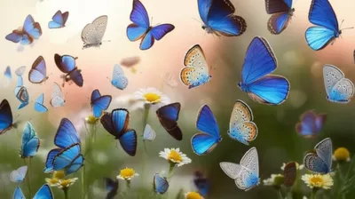 Illustration blew - Image 1