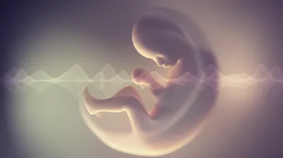 Illustration huddle - Image 1