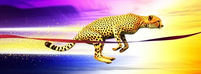 Illustration speeding