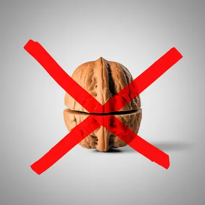 Illustration nut - Image 1