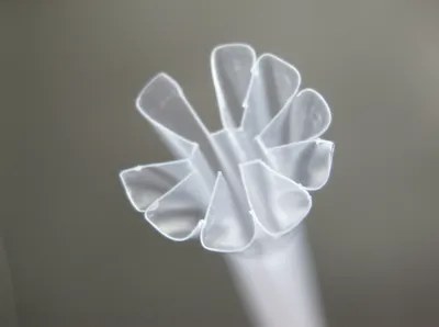 Illustration spatulate - Image 1