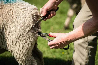 Illustration crutch - Image 1