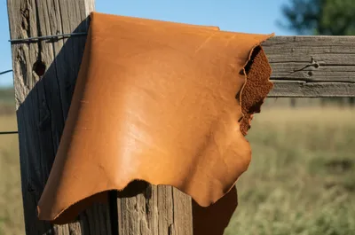 Illustration goatskin