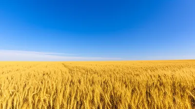 Illustration abounding - Image 1