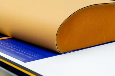 Illustration blanket - Image 1