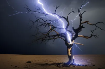 Illustration smites - Image 1