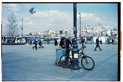 Illustration scavenging - Image 2