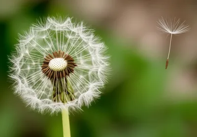 Illustration separating - Image 1