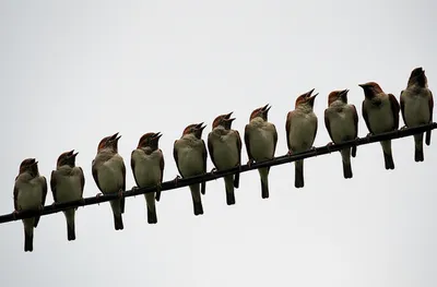 Illustration reporters - Image 1