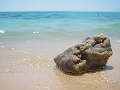 Illustration amber - Image 1