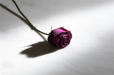 Illustration bathetic