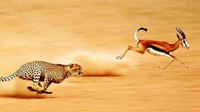 Illustration outrunning