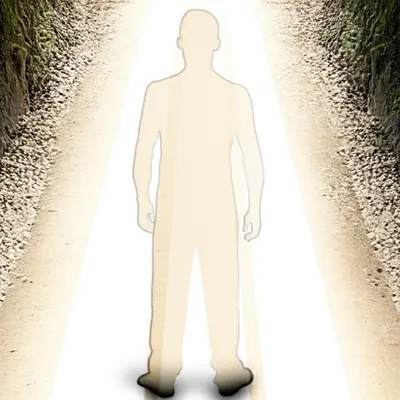 Illustration hovers - Image 1