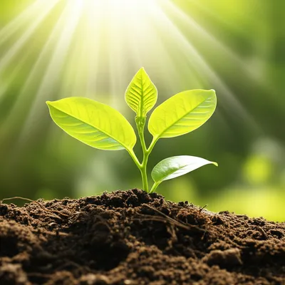 Illustration uses - Image 1