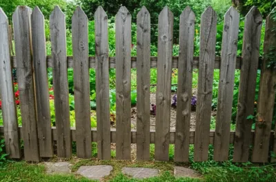 Illustration creep - Image 1