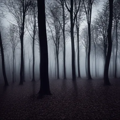 Illustration sombre - Image 1