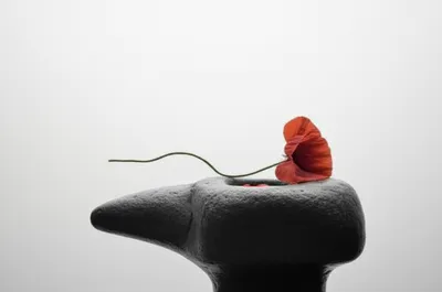 Illustration punishing - Image 1