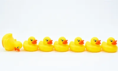 Illustration ducks - Image 1