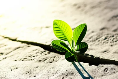 Illustration reboots - Image 1