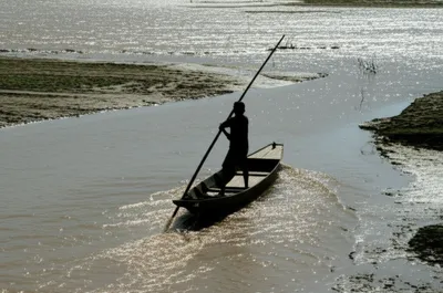 Illustration shoved - Image 1