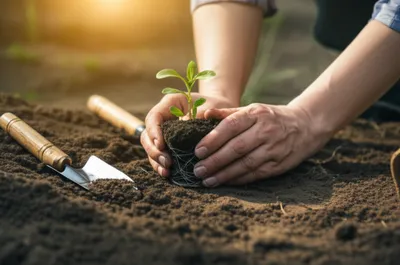 Illustration priming - Image 1