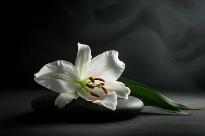 Illustration tear - Image 1