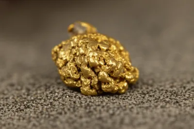 Illustration pepita - Image 1