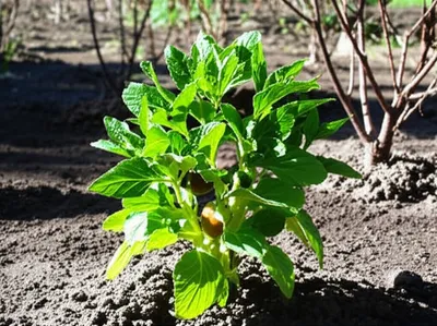 Illustration gaining - Image 1