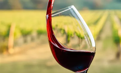 Illustration reds - Image 1