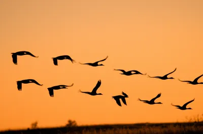 Illustration transient - Image 1